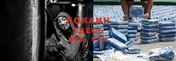 дживик Алексеевка