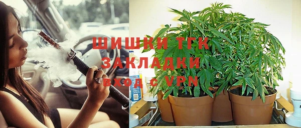 дживик Алексеевка