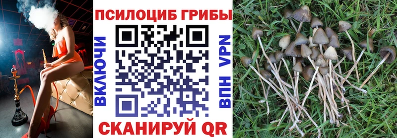 Псилоцибиновые грибы мухоморы  hydra зеркало  Калтан 